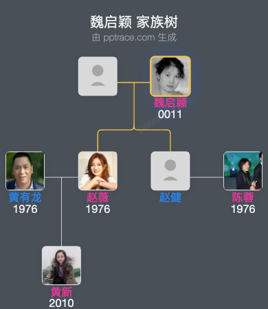 魏启颖 家族树全览