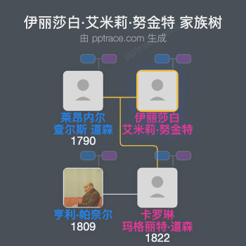 伊丽莎白·艾米莉·努金特家族树全览