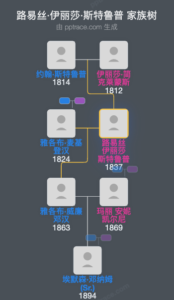 路易丝·伊丽莎·斯特鲁普家族树全览