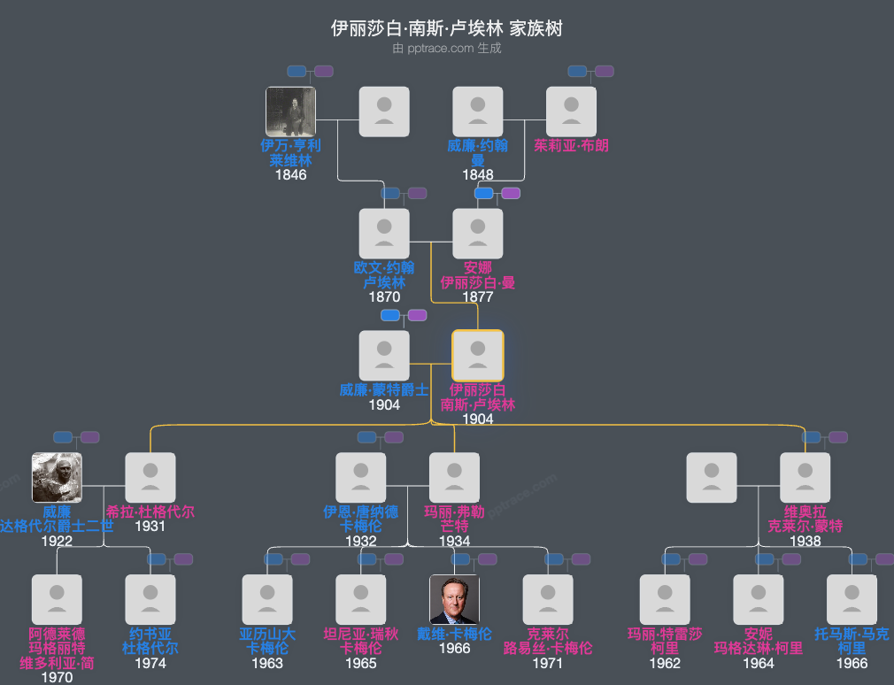 伊丽莎白·南斯·卢埃林家族树全览
