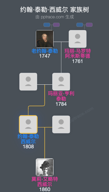 约翰·泰勒·西威尔家族树全览