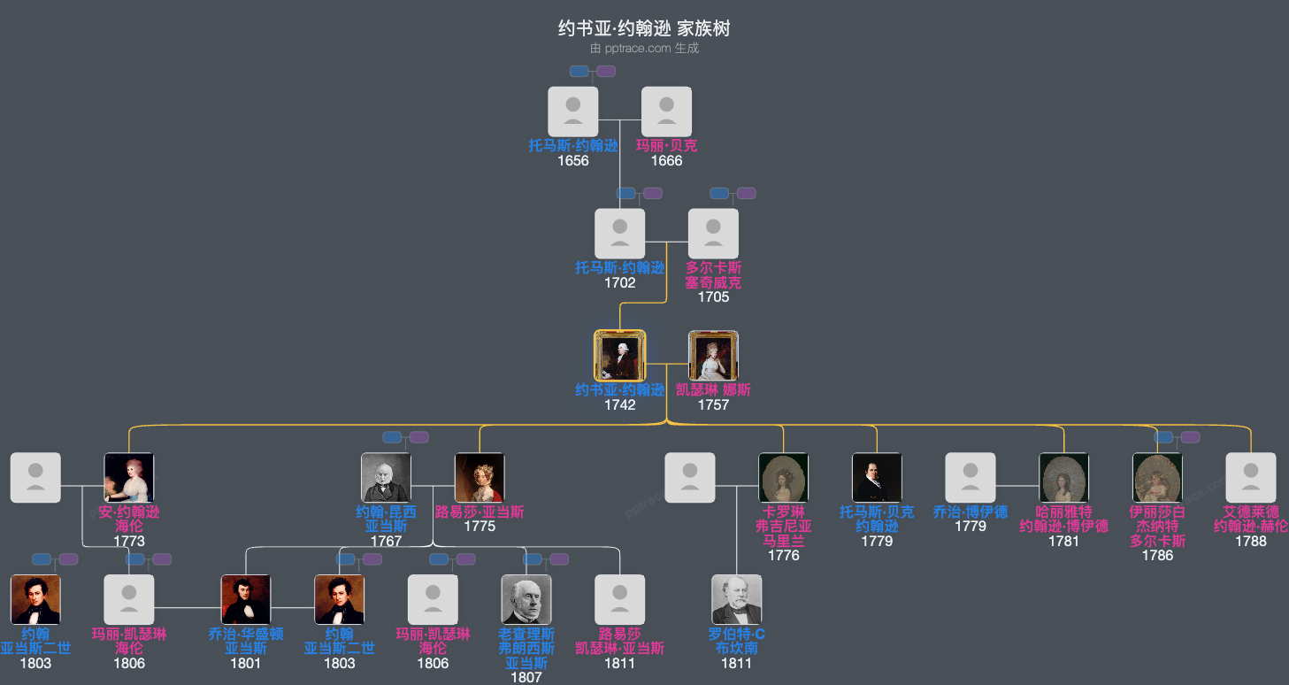 约书亚·约翰逊家族树全览