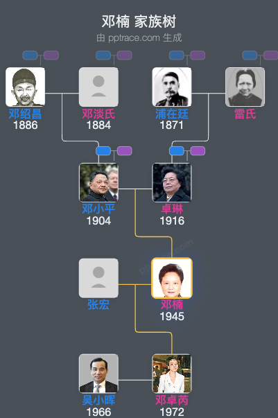 邓楠 家族树全览