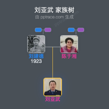 刘亚武 家族树全览