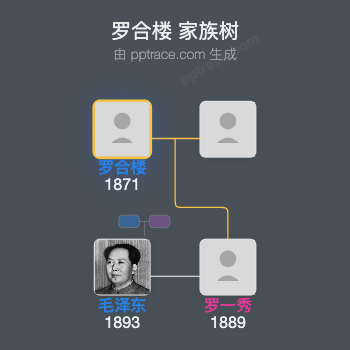 罗合楼 家族树全览