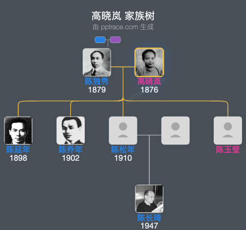 高晓岚 家族树全览