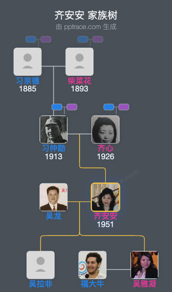 齐安安 家族树全览