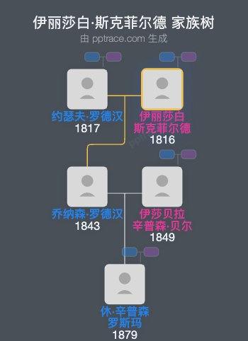伊丽莎白·斯克菲尔德家族树全览