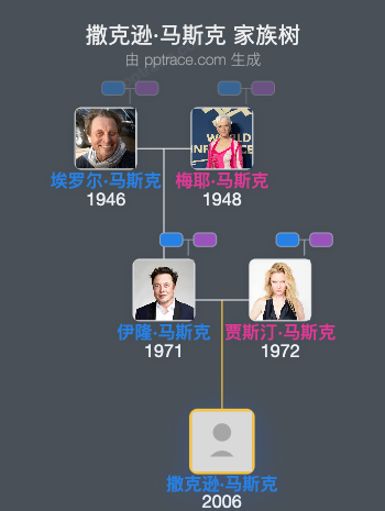 撒克逊·马斯克 家族树全览