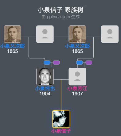 小泉信子 家族树全览