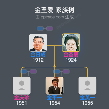 金圣爱 家族树全览