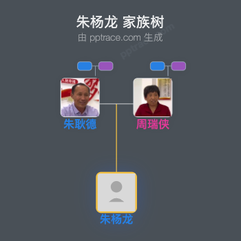 朱杨龙家族树全览