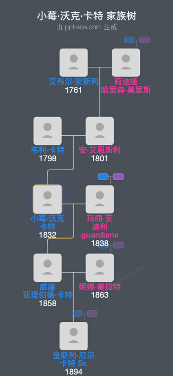 小莓·沃克·卡特家族树全览