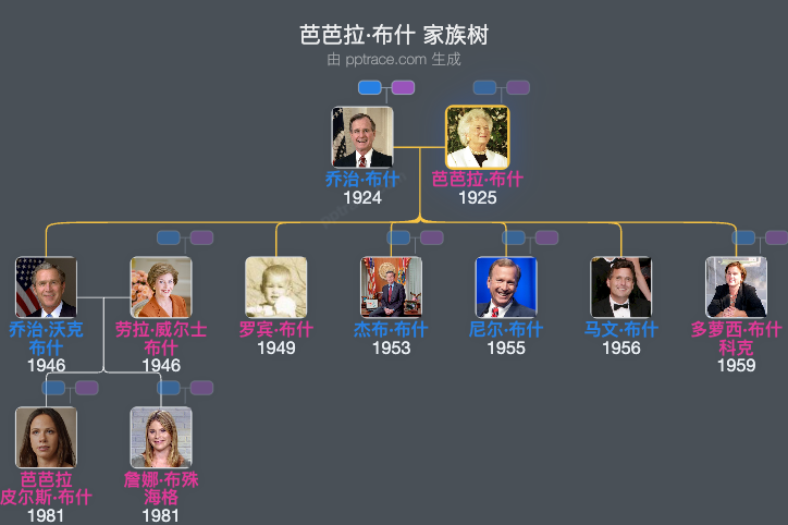 芭芭拉·布什 家族树全览