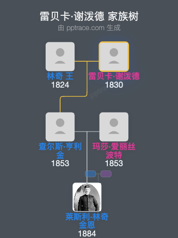 雷贝卡·谢泼德家族树全览