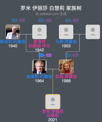 罗米 伊丽莎 白楚莉家族树全览
