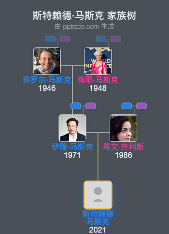 斯特赖德·马斯克 家族树全览