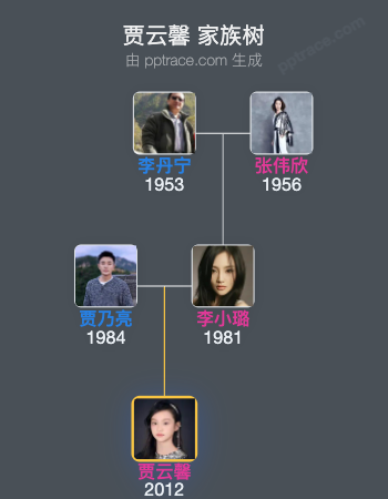 贾云馨家族树全览