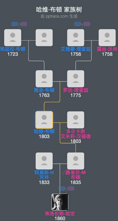 哈维·布顿家族树全览