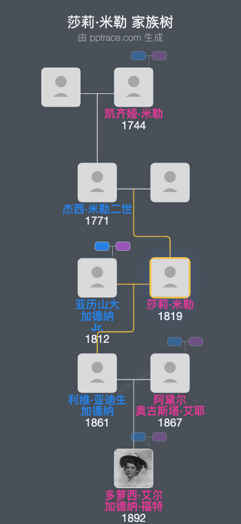 莎莉·米勒家族树全览