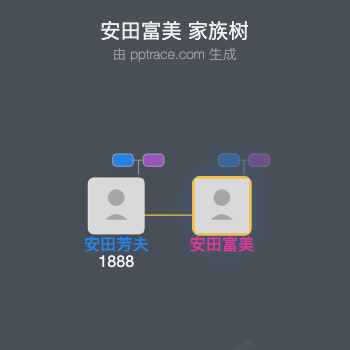 安田富美家族树全览