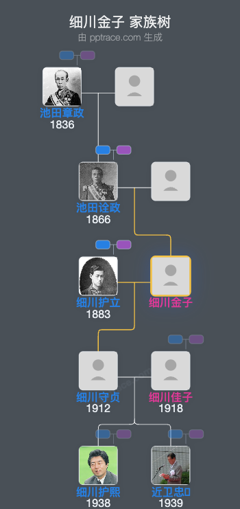 细川金子家族树全览