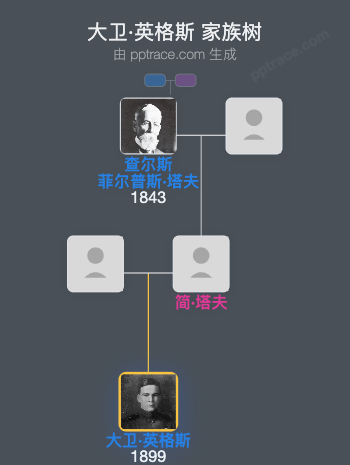 大卫·英格斯家族树全览