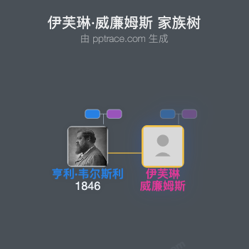 伊芙琳·威廉姆斯家族树全览