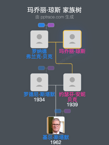 玛乔丽·琼斯家族树全览