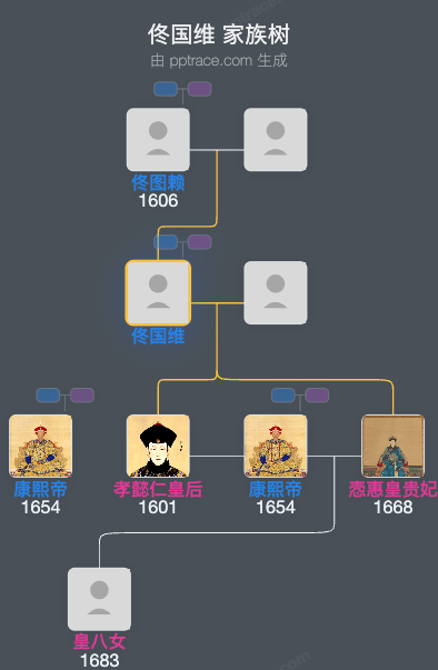 佟国维家族树全览