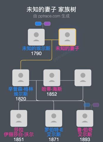 未知的妻子家族树全览