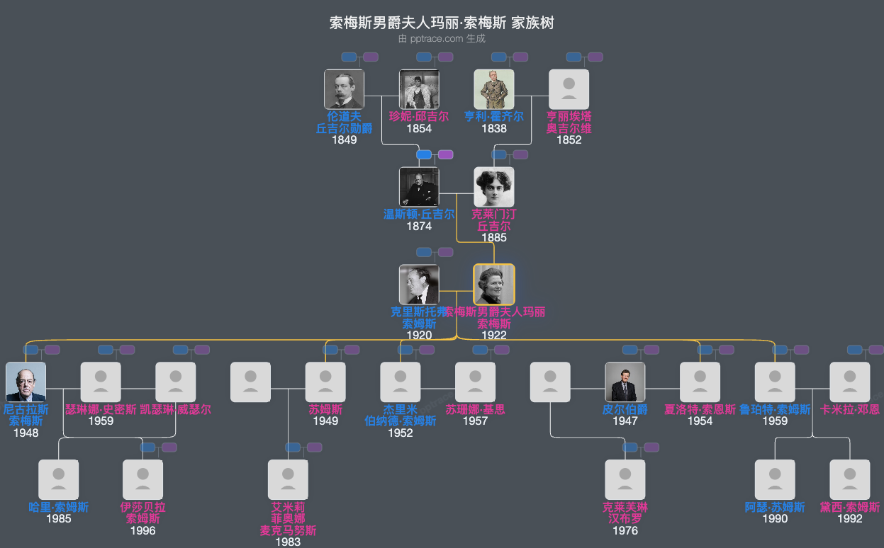 索梅斯男爵夫人玛丽·索梅斯家族树全览