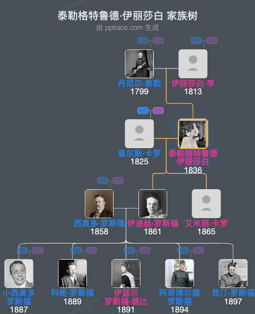 泰勒格特鲁德·伊丽莎白家族树全览