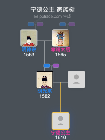 宁德公主家族树全览