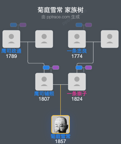 菊庭雪常家族树全览
