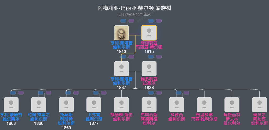 阿梅莉亚·玛丽亚·赫尔顿家族树全览