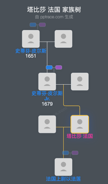 塔比莎 法国家族树全览