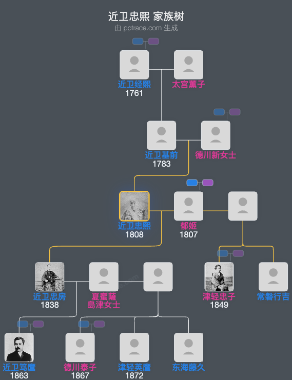 近卫忠熙家族树全览
