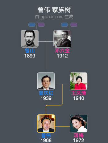 曾伟 家族树全览