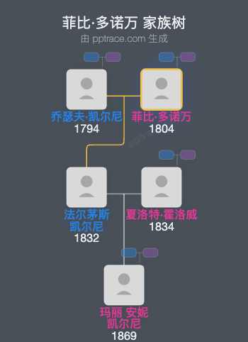 菲比·多诺万家族树全览