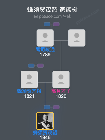 蜂须贺茂韶家族树全览