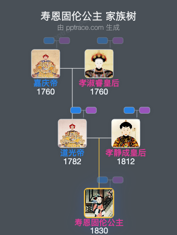 寿恩固伦公主家族树全览