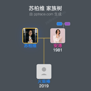 苏柏维 家族树全览