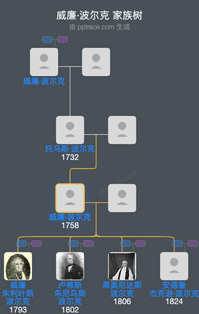 威廉·波尔克家族树全览