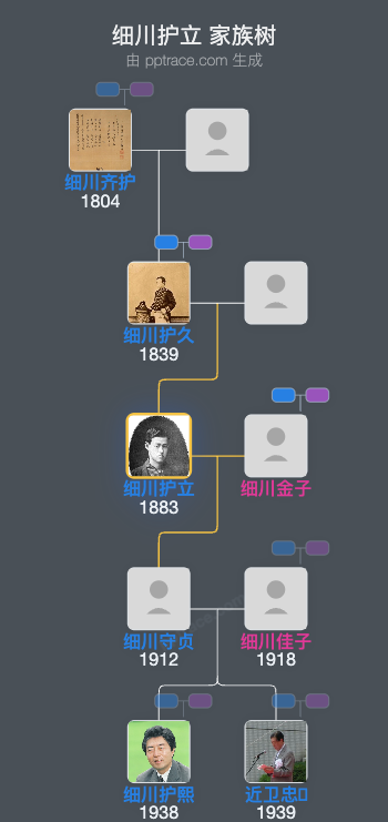 细川护立家族树全览