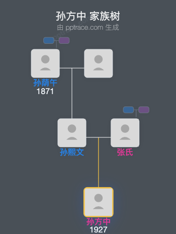 孙方中家族树全览