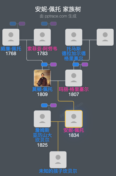 安妮·佩托家族树全览