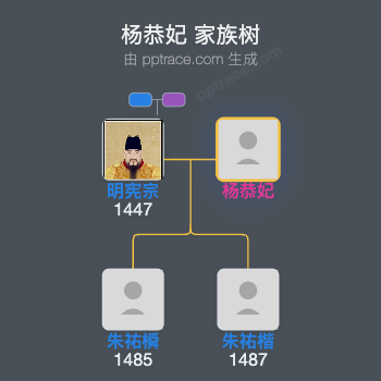 杨恭妃家族树全览
