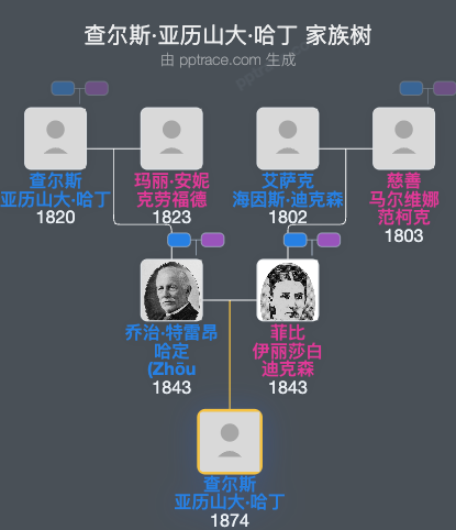 查尔斯·亚历山大·哈丁家族树全览