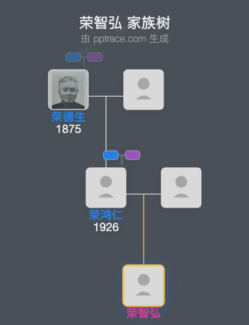 荣智弘 家族树全览
